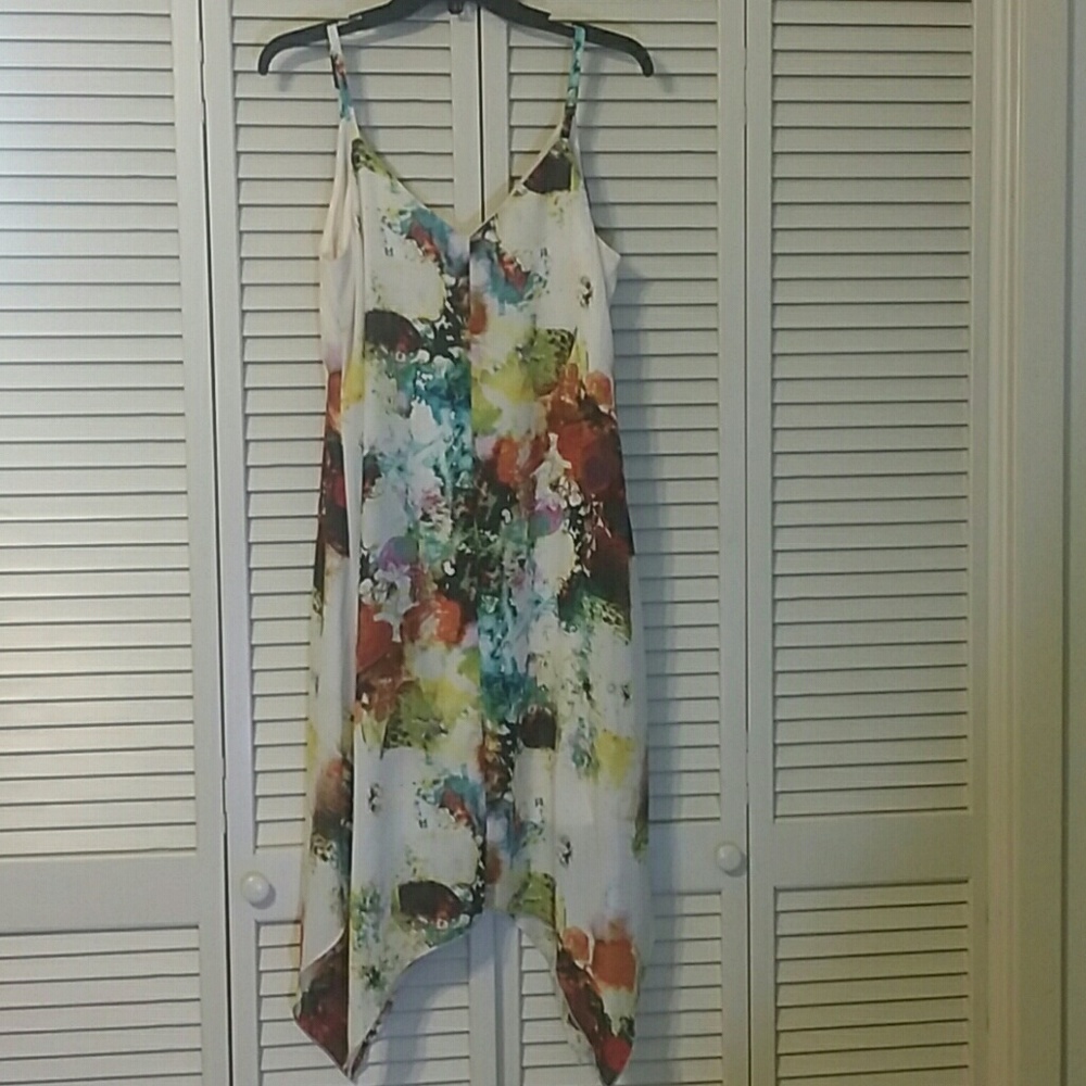 Spense Floral Print Lined Dress